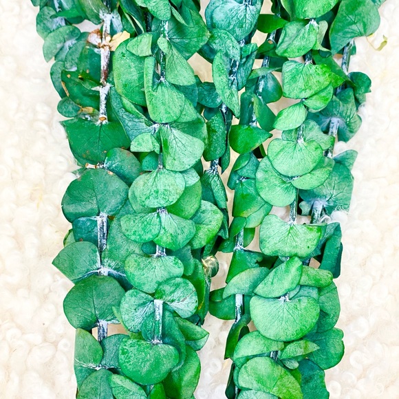 Preserved Dried Eucalyptus Bunch - Picture 5 of 5
